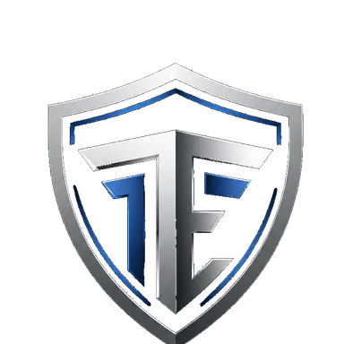Third Eye Security
